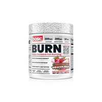 Basic Burn