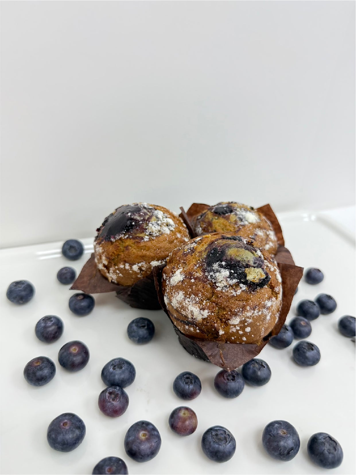 Pure Delight Muffin – Blueberry