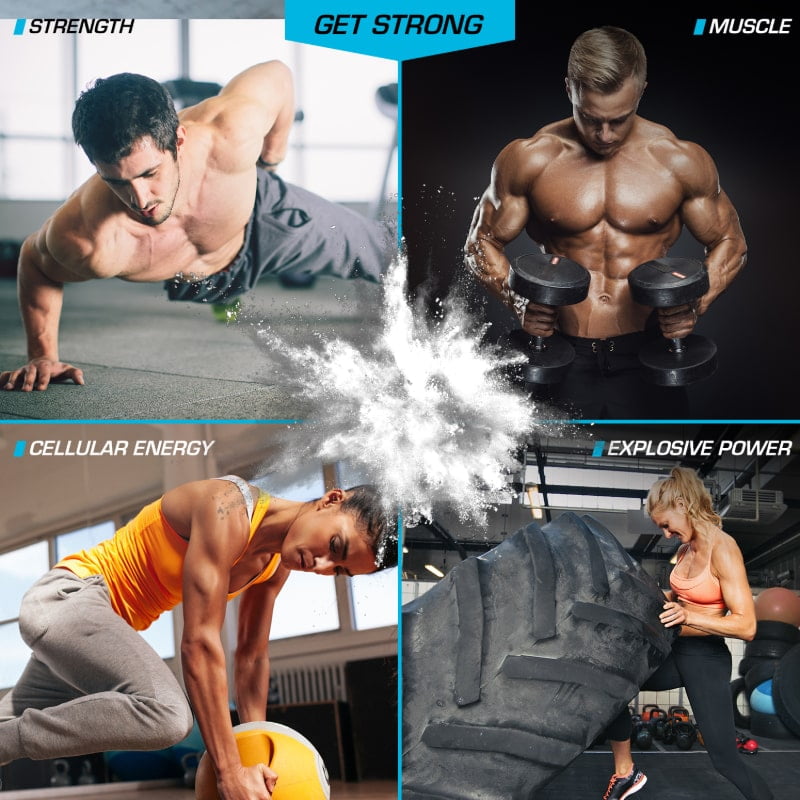 Kre-Alkalyn EFX Buffered Creatine Powder By MuscleTech For Athletes And Fitness Enthusiasts Premium Performance by EFX