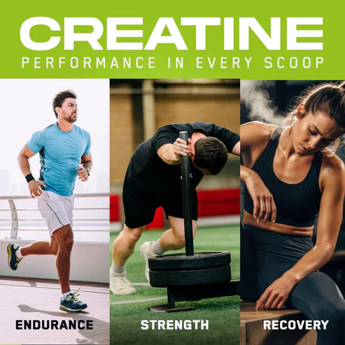 CREADOSE CREATIN 60 SERVING by right dose supplements