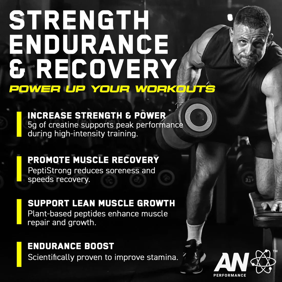 Creatine Monohydrate + Peptide by APPLIED NUTRITION