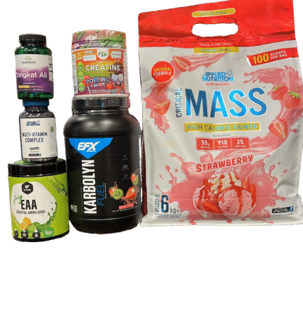 BULK COURSE_كورس ضخامه